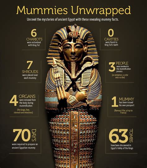 facts and figures about the mummy of tutankhamun tutankhamun pharaohs mummy facts