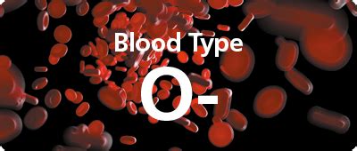 There are eight main blood types: O negative blood type - NHS Blood Donation