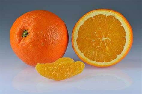 Orange Fruit Wikiwand