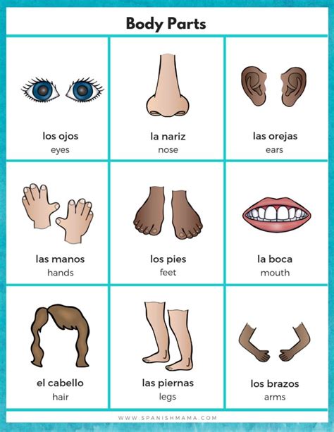 Spanish For Kids Woksheets