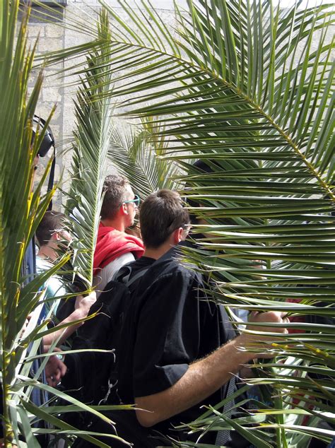 Mary Clark Traveler Palm Sunday In Jerusalem