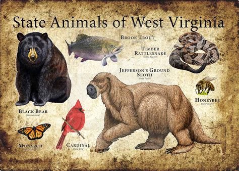 California State Animals Poster Print Inkart