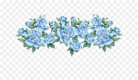ดอกไม้ สีน้ำเงิน สีน้ำเงินกุหลาบ Png Png ดอกไม้ สีน้ำเงิน สี