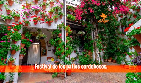 Festival De Los Patios Cordobeses 2024 Free Tour