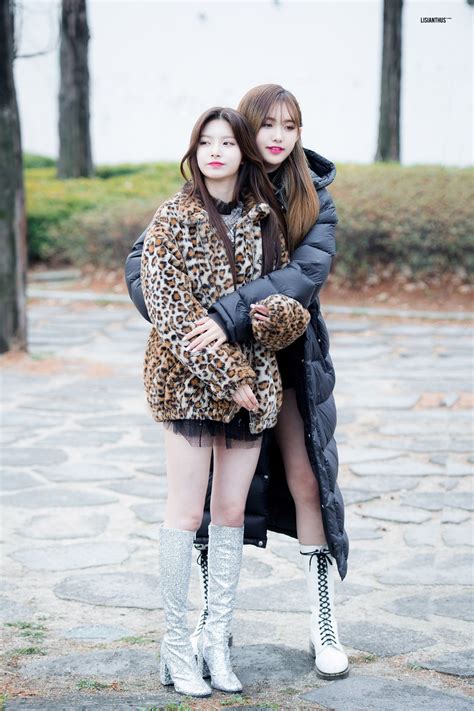 Use the following search parameters to narrow your results Aisha - Everglow - Asiachan KPOP Image Board