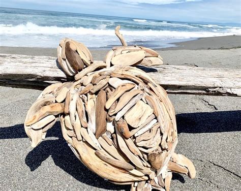 Sea Turtle Driftwood Wall Hanging Etsy