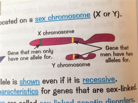 Sex Linked Genetic Disorders Flashcards Quizlet