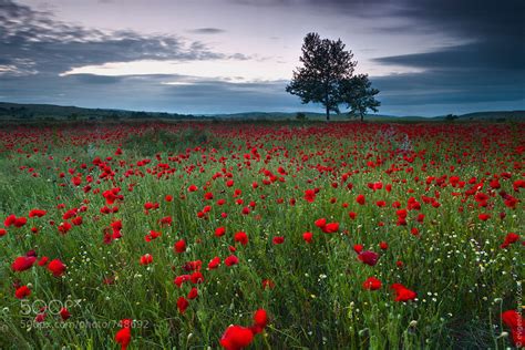 Pieces Of Eden Extraordinary Photography By Evgeni Dinev Part Ii