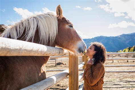 The Healing Power Of Horses Psychologies