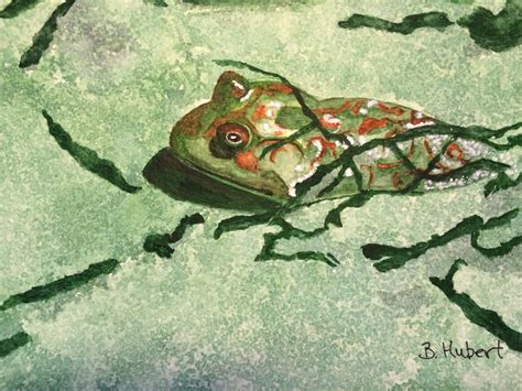 Summer Pond Frog An Original Watercolor Painting 9 X Etsy