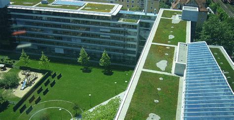 Green Roofs Are Green Roofs More Than Just A Trend