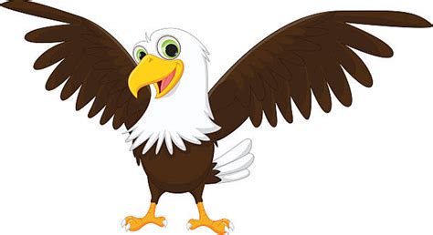Best Eagle Mascot Illustrations Royalty Free Vector