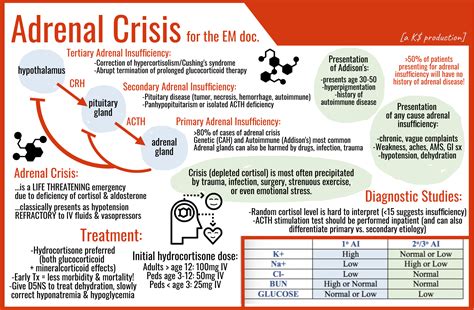 Adrenal Crisis Maimonides Emergency Medicine Residency