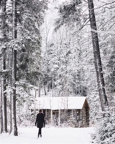 Surrounded By Forest And Snow Winter Cabin Secluded Cabin Riding