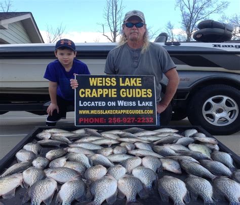 Page 33 Weiss Lake Crappie Guides 2015 Photo Gallery Photo Gallery