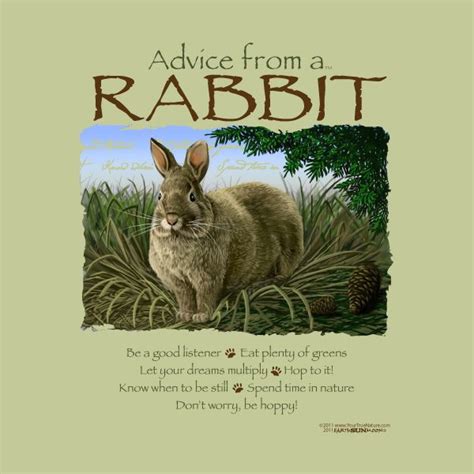 Explore 130 rabbit quotes by authors including hugh hefner, mitt romney, and r. Rabbit Quotes And Sayings. QuotesGram
