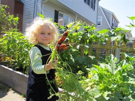 5 Reasons To Grow Your Own Food Grow Your Very Own Vegetable And Herb Garden