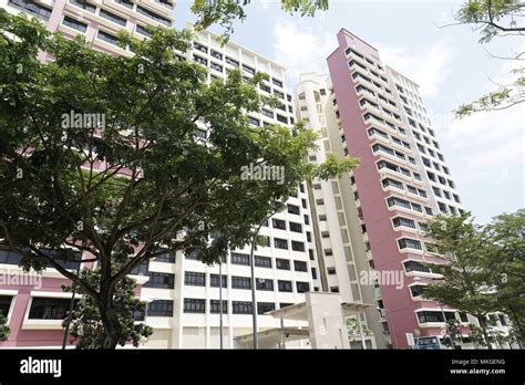 Hdb Flats In Bedok Singapore Bedok Is A Planning Area And Matured