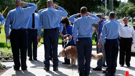 Final Respects For Last 911 Search Dog The New York Times
