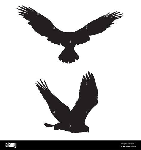 Vector Illustration Of Falcon Silhouette Art Stock Vector Image And Art