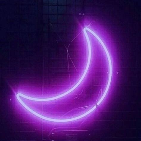 Lilac Neon Tumblr