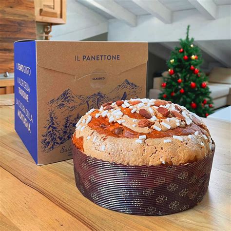Maybe you would like to learn more about one of these? Panettone classico | Forneria Pasticceria Salvetti ...