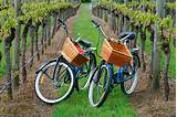 Bike Wine Tour Sonoma Images