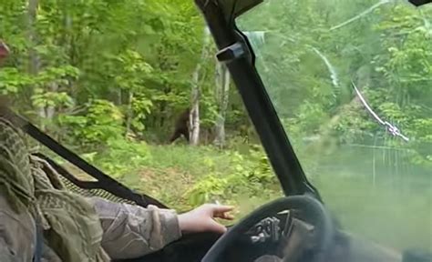 Have You Seen This Ultra Clear Bigfoot Footage Captured In Maine