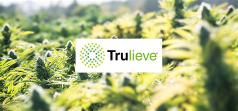 Trulieve Has Donated 15m To Florida Legalization Campaign Ganjapreneur