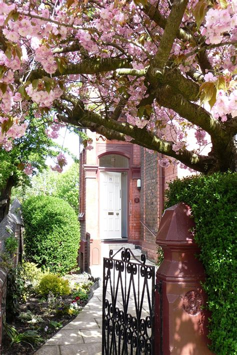 Spring Temperate Climate Zone Uk Europe Dream Backyard Garden