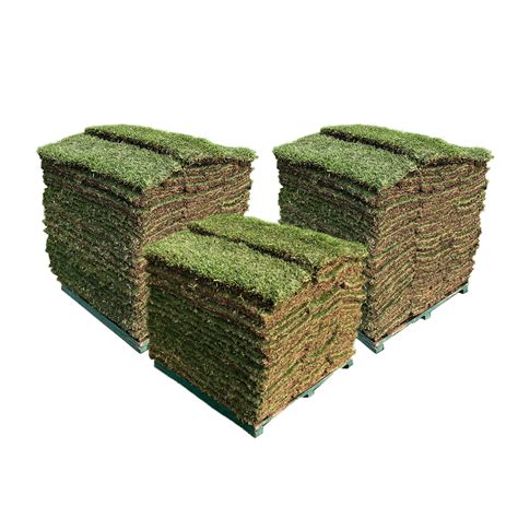 Sir Walter Dna Certified Buffalo 140m² Soft Leaf Buffalo Turf Pallet