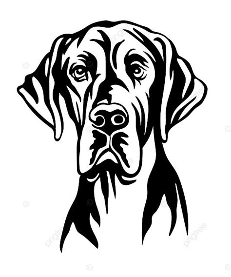 A Black And White Drawing Of A Dogs Face