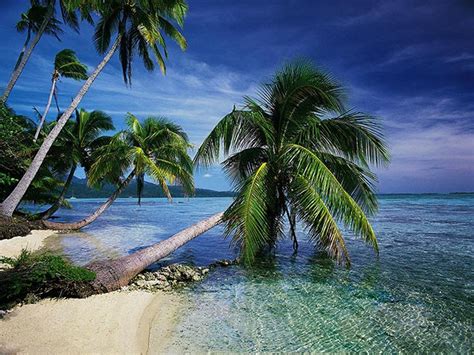 47 Beautiful Tropical Islands Desktop Wallpapers Wallpapersafari