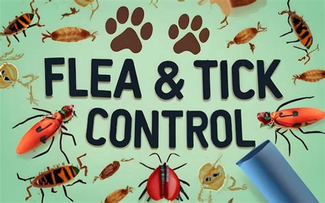 Premium Ai Image Fleas And Ticks Control