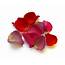 The Confetti Blog Decorating With Rose Petals  Ideas And Inspiration