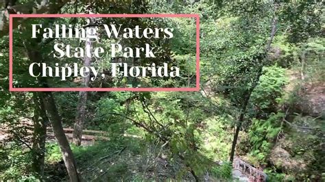 Floridas Highest Waterfall Flows Into Cave Falling Waters State Park