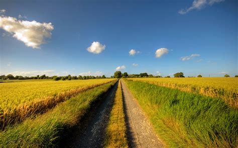 Footpath Road Sunny Day Fields Clouds Summer Wallpaper Nature