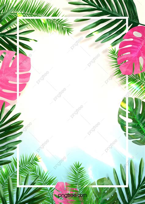 Summer Creative Plant Border Background Wallpaper Image For Free