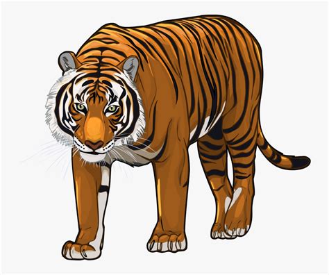 Bengal Tiger Clipart Transparent Background Tiger Cartoon Png Free