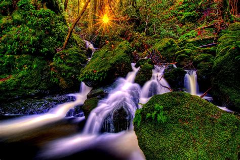 Sunset Over Forest Waterfall