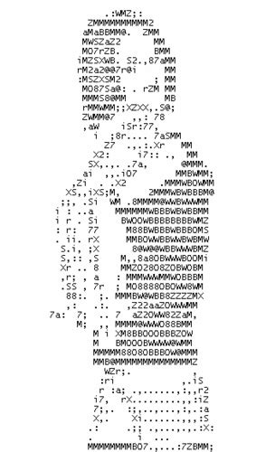 ASCII Art Meme