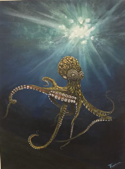 504 Best Roctopus Images On Pholder Does Anyone Know What Kind Of Octopus This Is