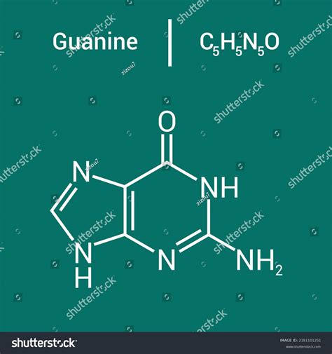 Chemical Structure Guanine C5h5n5o Stock Vector Royalty Free 2181101251 Shutterstock