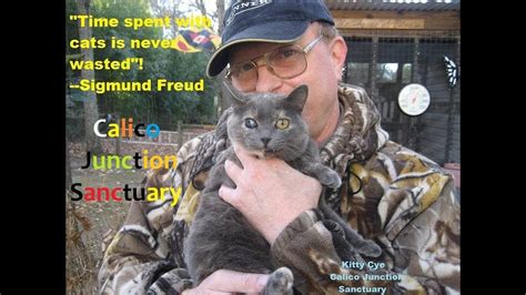 Check spelling or type a new query. Pin by Annie Spokescat the Speaking on Calico Junction Sanctuary Cats | Cats, Calico, Kitty
