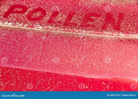 Yellow Pollen Stock Image Image Of Healthcare Outdoors 24001435