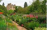Pictures of Garden Designer Ayrshire