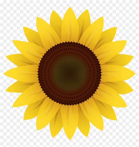 Printable Sunflower Clipart Free Jacks Boy Blog