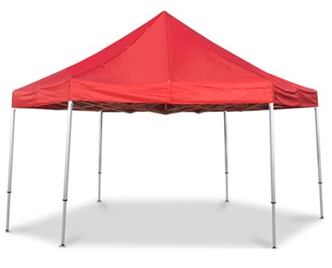 Ace Canopy Great Uses For A Portable Canopy