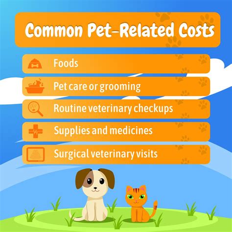 We are expanding to offer a number of excellent veterinary services, including complete surgical services, internal medicine, pet dental care and advanced diagnostics, all in addition to the general pet health care services you have. TheInsuredPet: #1 Pet Insurance Review Site/Top 8 Best ...