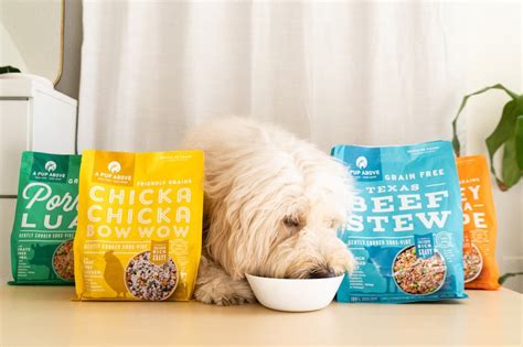 Best dog food for goldendoodles. 6 Best Fresh Dog Food Brands: 2020 Reviews + Ratings